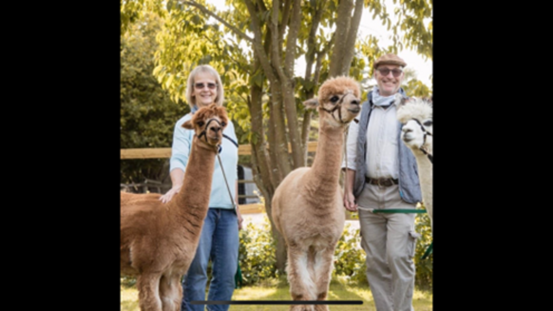 ADAC Trips App & Ausflugstipps