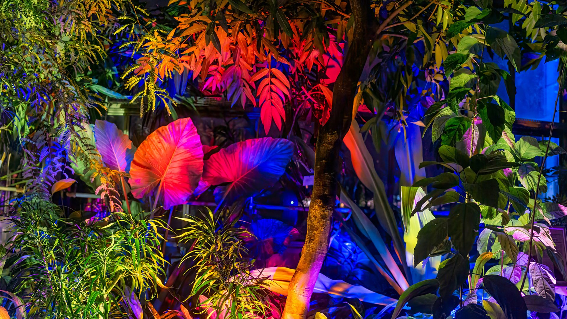 ADAC Trips App & Ausflugstipps